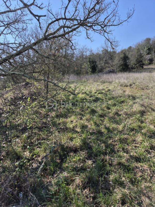 Terrain constructible - photo 10