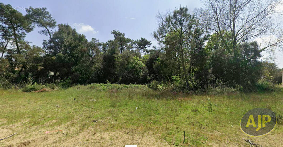 Terrain à SAINT-HILAIRE-DE-RIEZ