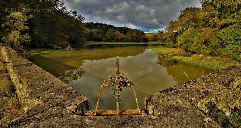 Maison à SAINT-MARTIN-DE-SEIGNANX
