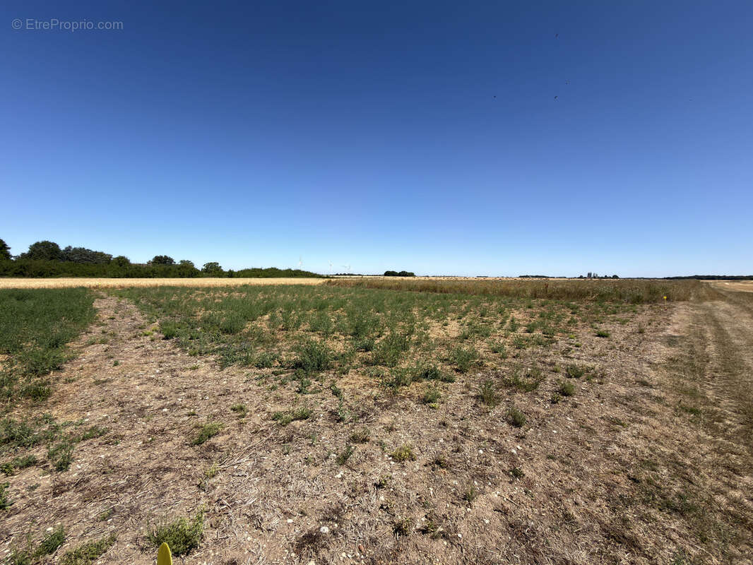 Terrain a batir - sainville - photo 3