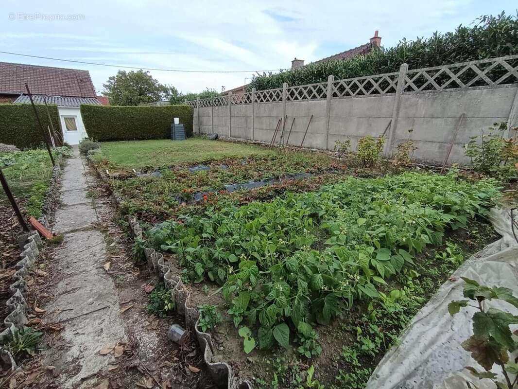 Photo 8 - Maison à ISBERGUES