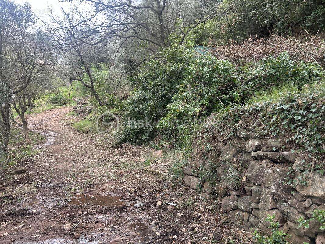 Terrain à SOLLIES-VILLE