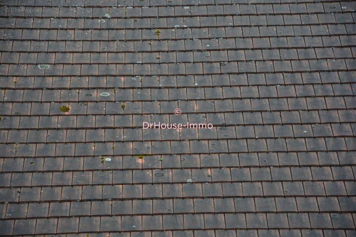 Terrain à BUSSIERE-GALANT