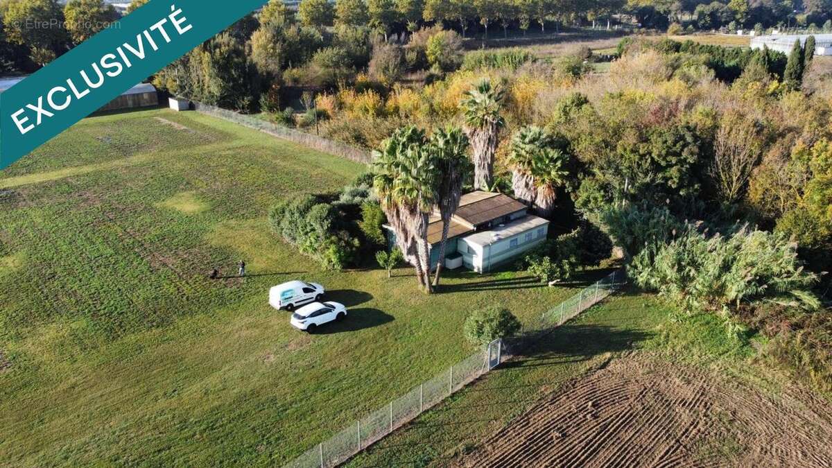 Photo 8 - Commerce à VILLELONGUE-DE-LA-SALANQUE