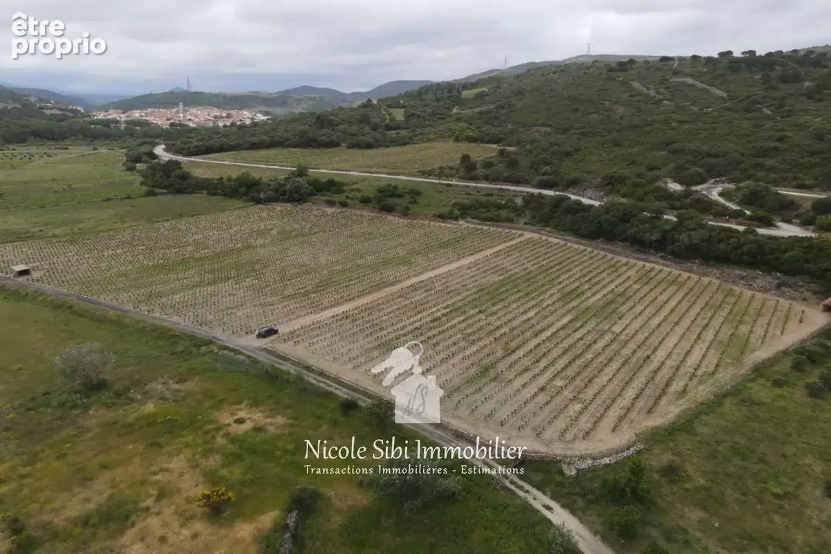 Photo Terrain à Latour-De-France au prix de 31 500€