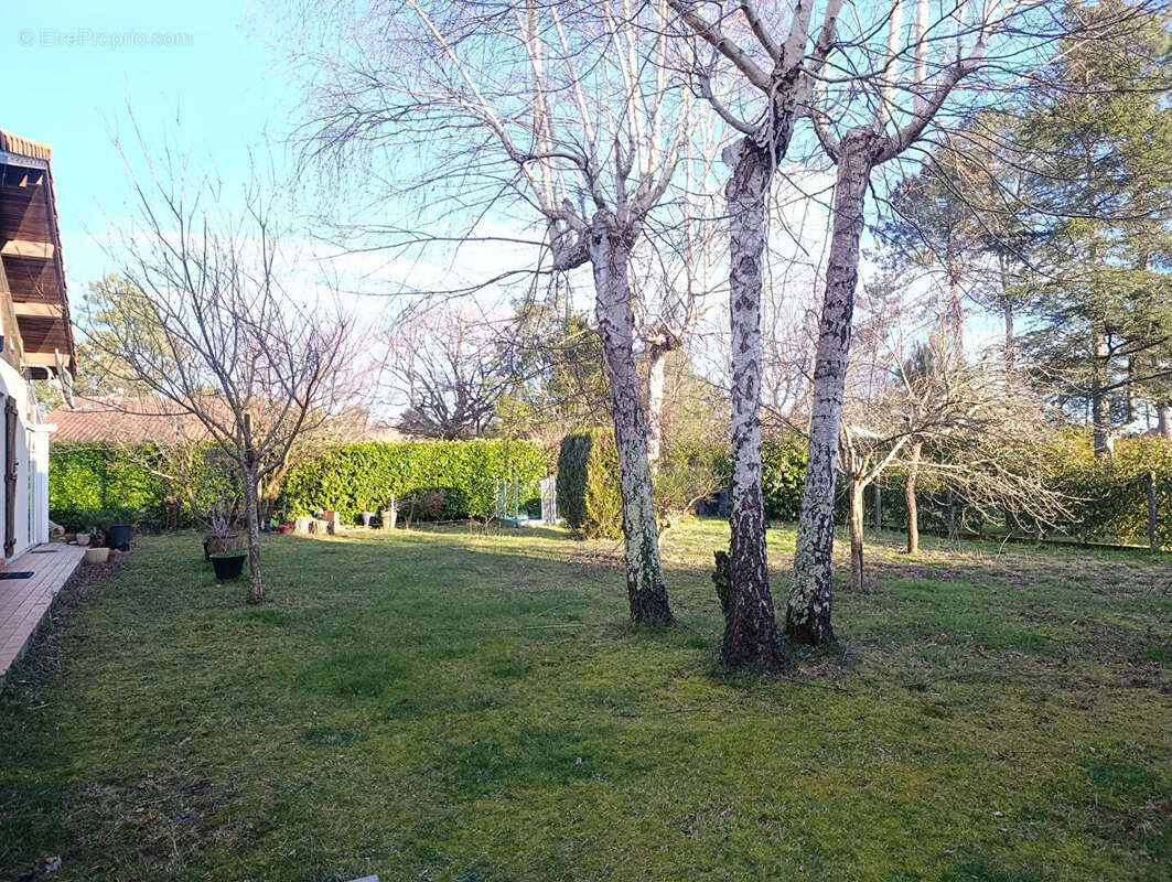 Maison à VIELLE-SAINT-GIRONS