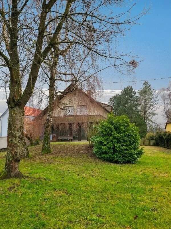 Maison à BETSCHDORF