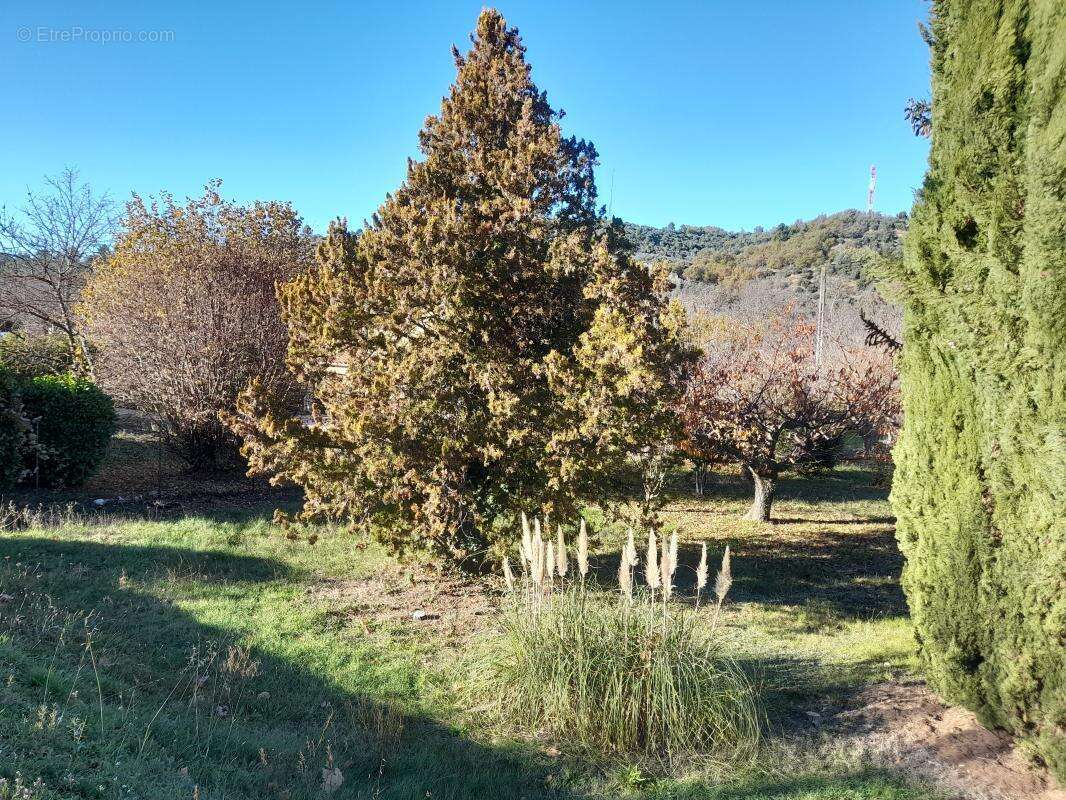 Terrain 664m² - photo 3