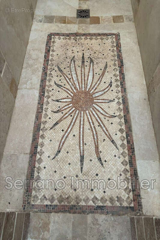 Maison 293 m² à Beaucaire  - photo 7