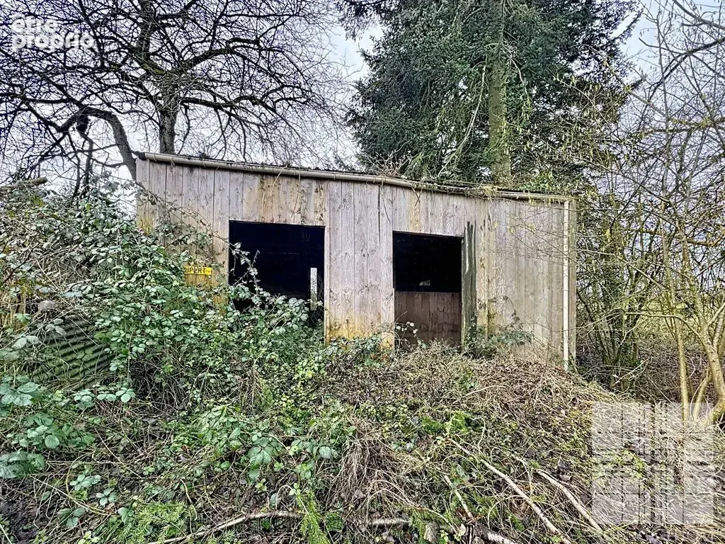 Longère en pierres à rénover - 1,43ha - idéal chevaux - photo 15