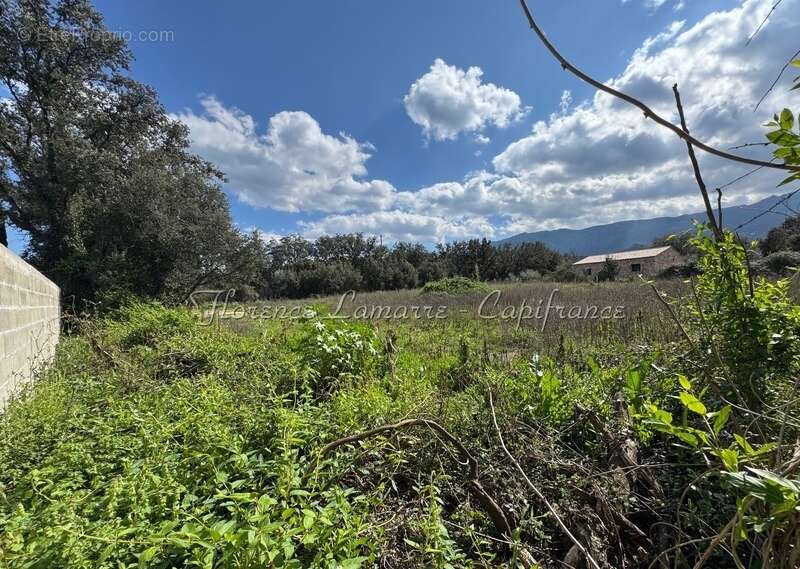 Terrain à SPELONCATO