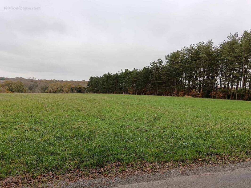 Terrain à FONTCOUVERTE