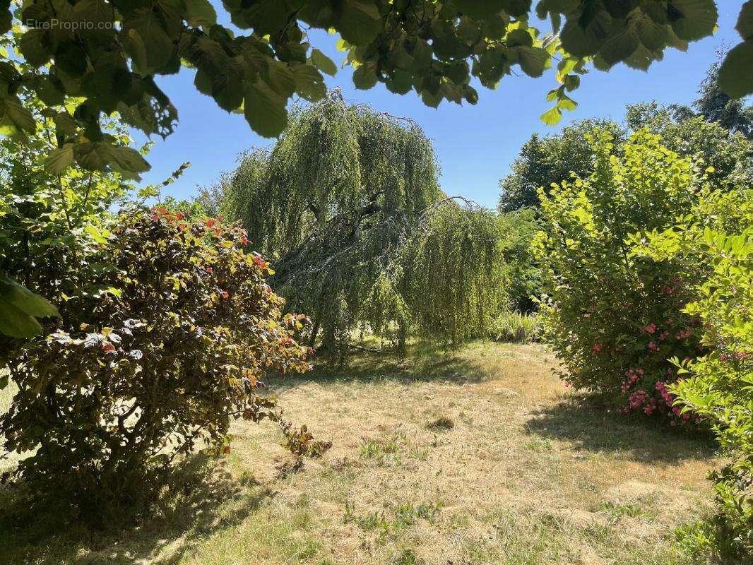 Maison à CLUSSAIS-LA-POMMERAIE