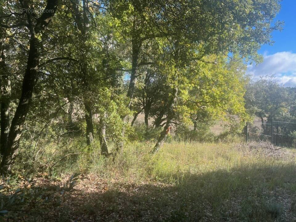 Terrain à BAUDINARD-SUR-VERDON