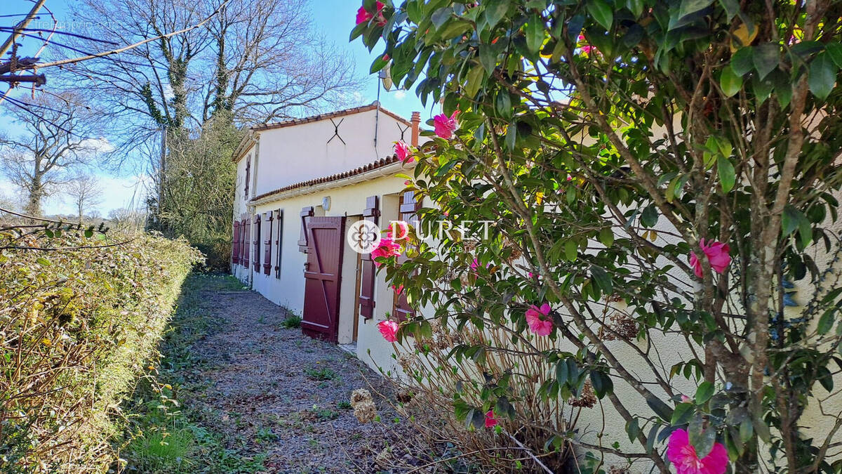 Maison à SAINT-VINCENT-SUR-GRAON
