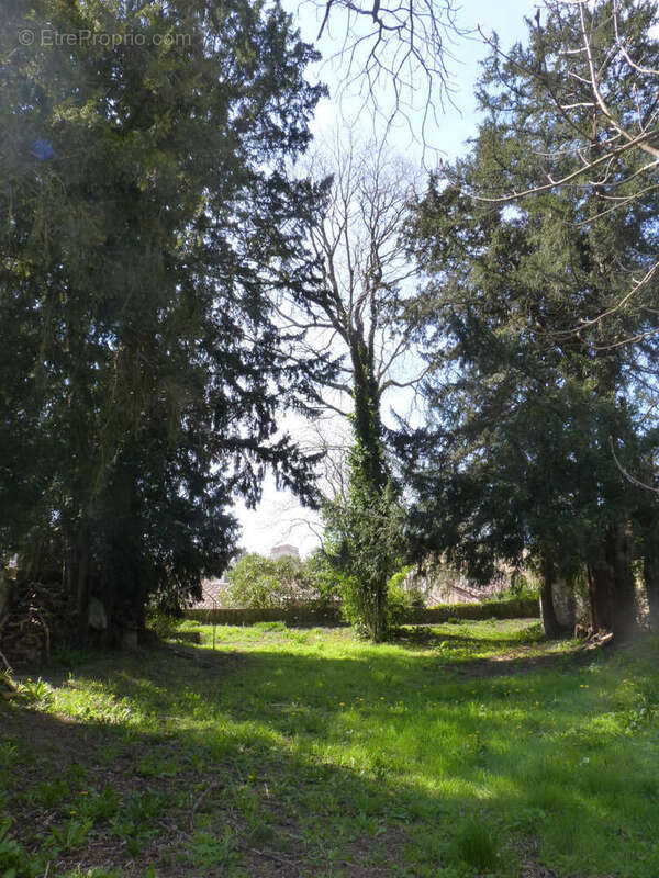 jardin - Maison à AUCH