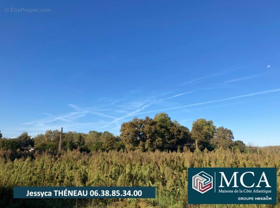 Terrain à SAUGNAC-ET-CAMBRAN