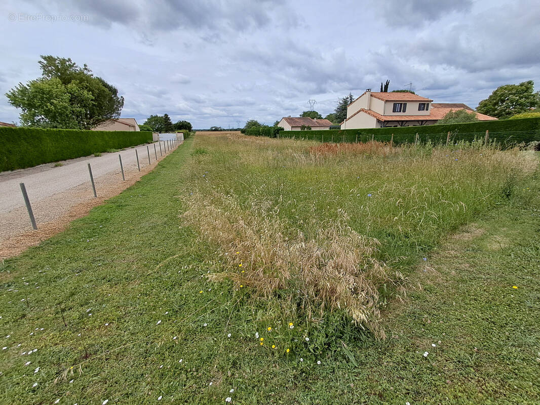 Terrain à MONTAMISE