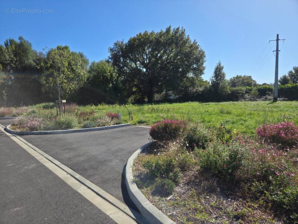 Terrain à SAINT-JULIEN-SUR-GARONNE