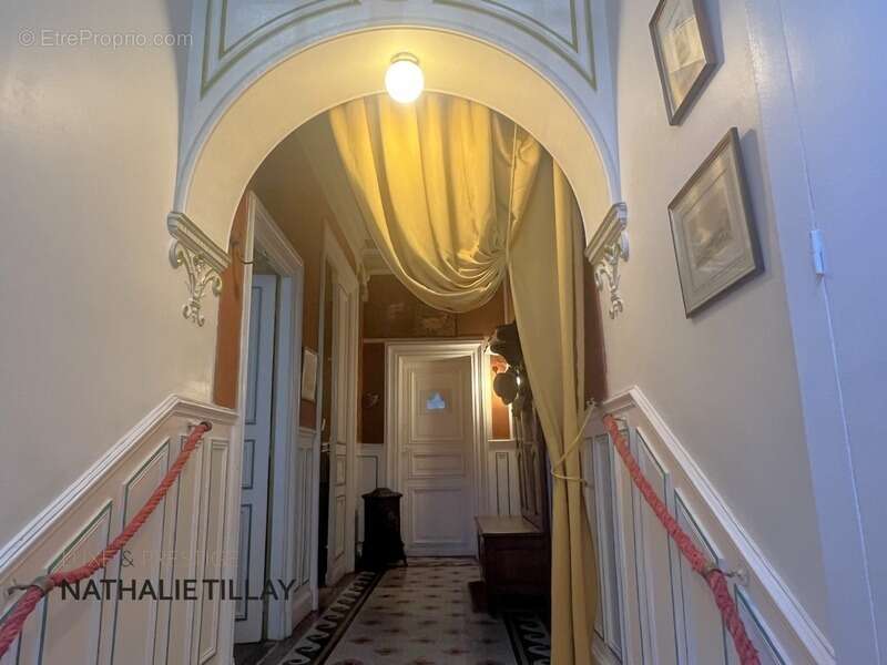 Orleans, centre, a vendre, hôtel particulier 400 m², jardin - photo 7