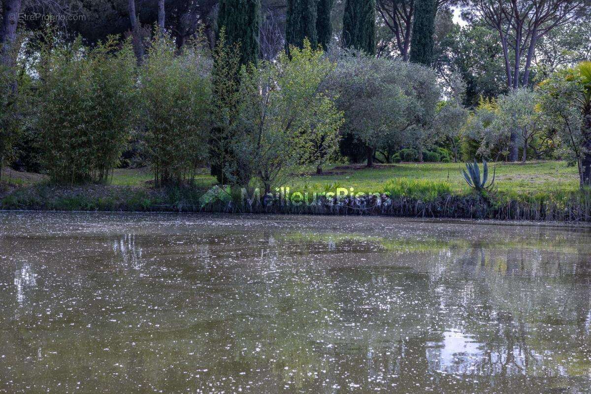 Maison à ROQUEBRUNE-SUR-ARGENS