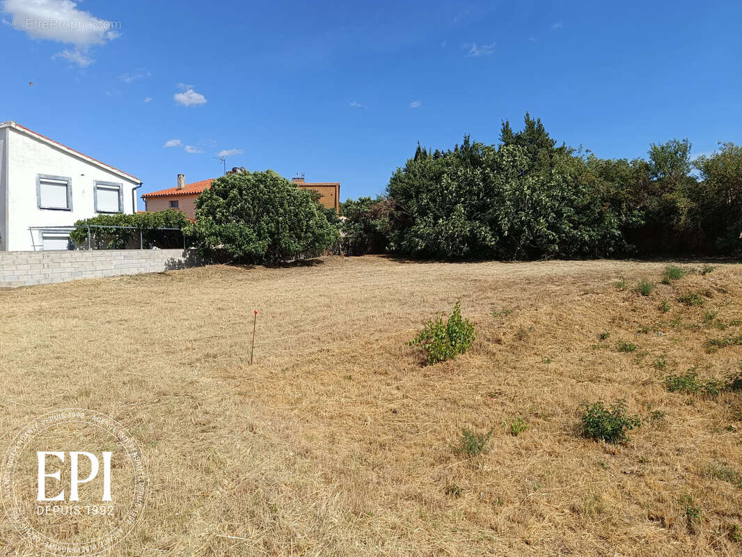 Terrain à vendre 898 m2   Badens (Minervois, proche Trèbes,  Carcassonne) - photo 6