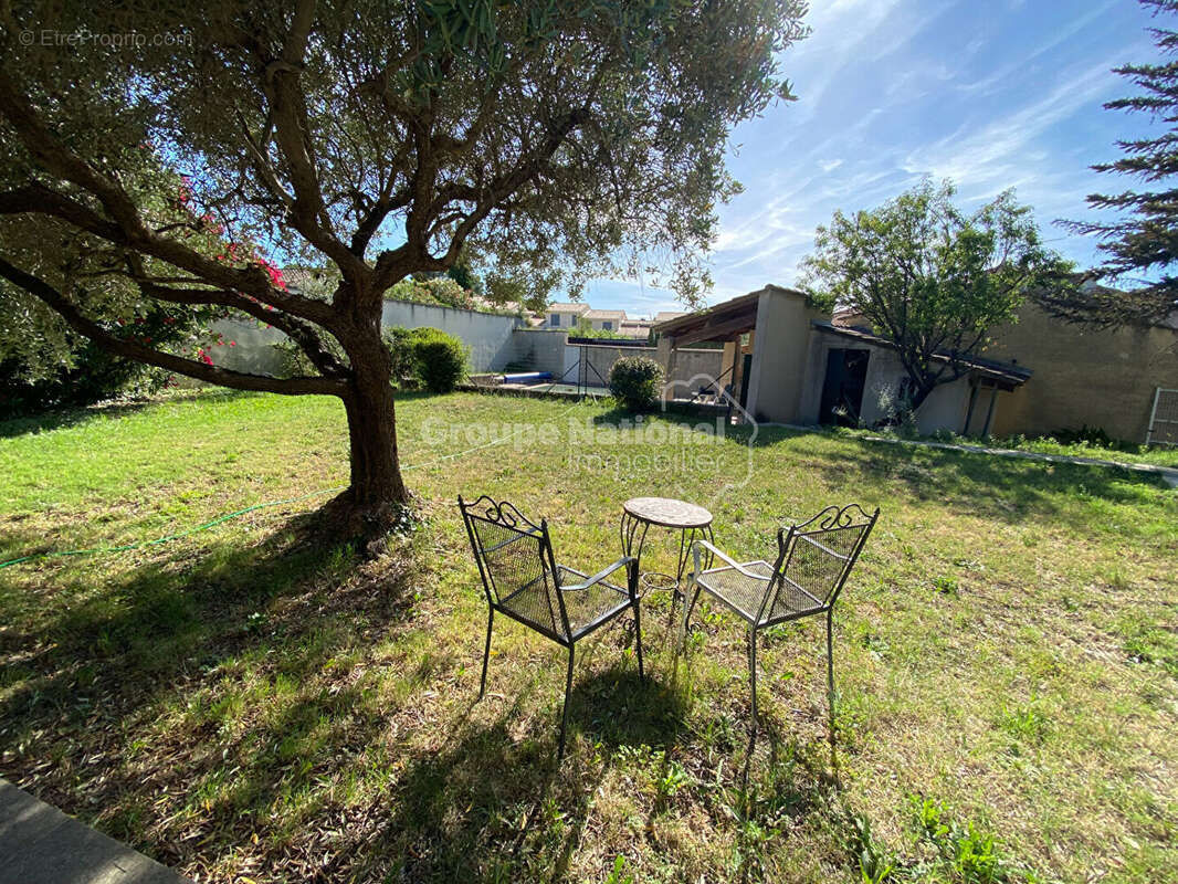 St Remy de Provence, maison + 2 appartements + piscine sur 1234 m² de terrain - photo 3