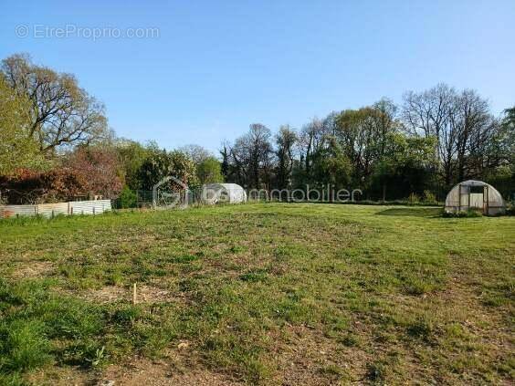 Terrain à SAINT-PHAL