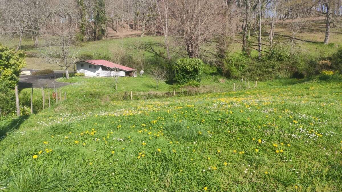 Terrain à SALIES-DE-BEARN