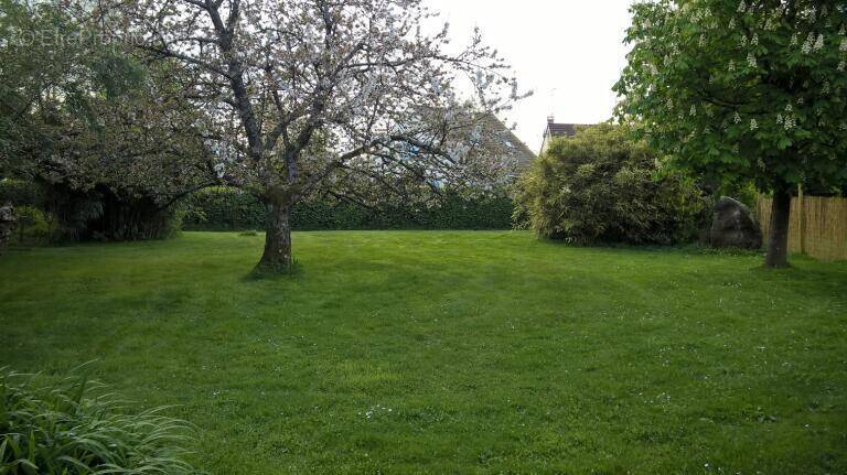 Terrain à GOURNAY-SUR-ARONDE