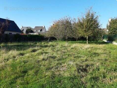 Terrain à bâtir de 601 m² à LA CHAPELLE-THOUARAULT (35) - photo 2