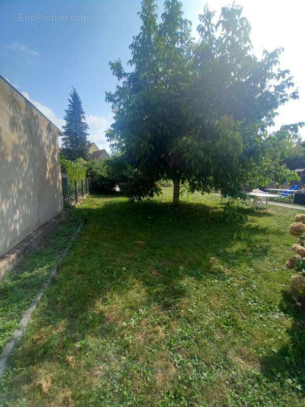 Appartement  HAGUENAU 5 pièces avec jardin, terrasse et garage -  proxiité Centre Ville -119 m2 - photo 15