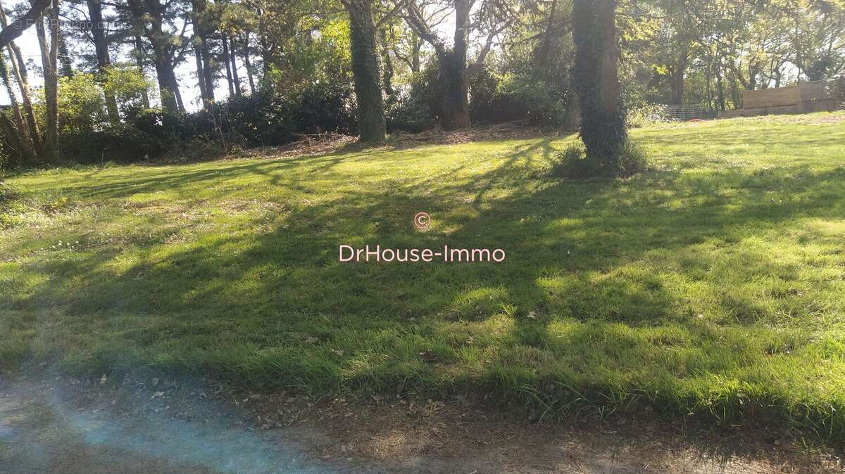 Terrain à SAINT-HILAIRE-DE-CLISSON