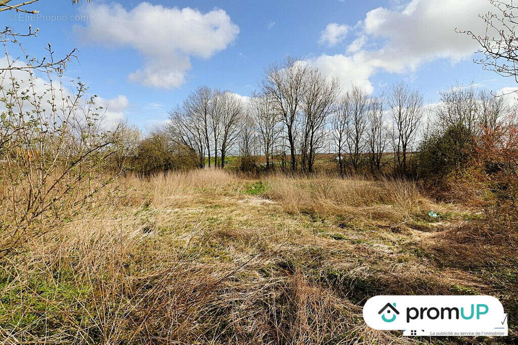 Terrain à BEAUVAL