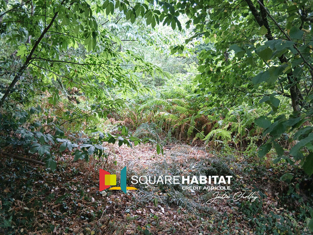 Terrain à BOUILLE-MENARD