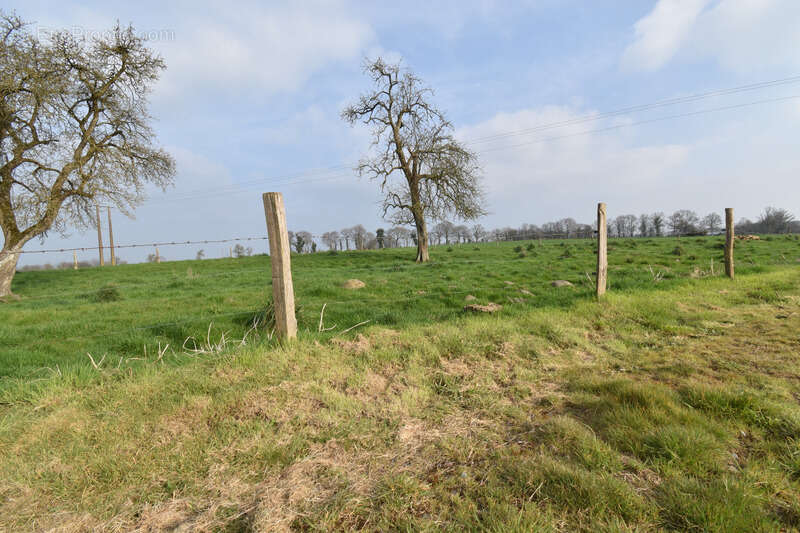 Maison à SAINT-FRAIMBAULT