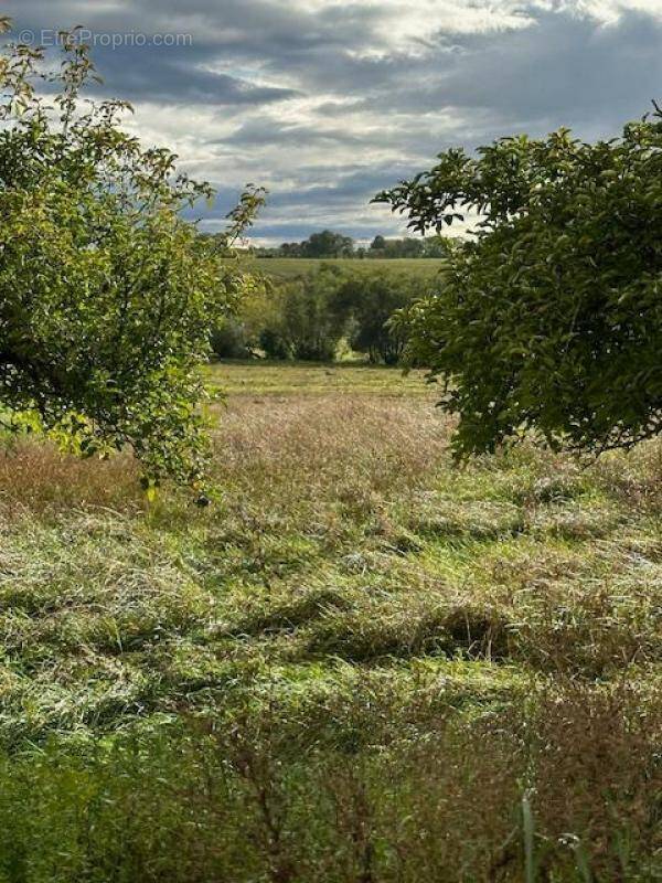 Terrain à MONCEL-SUR-SEILLE
