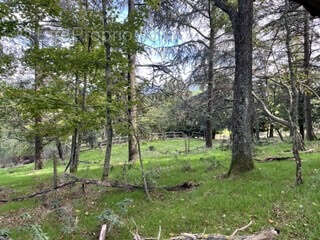 Maison à LA FOUILLOUSE