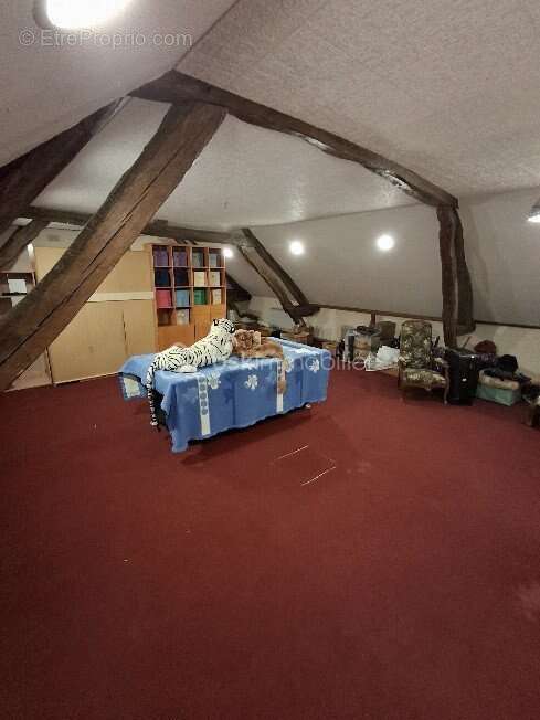 Maison à PLESSIS-SAINT-JEAN