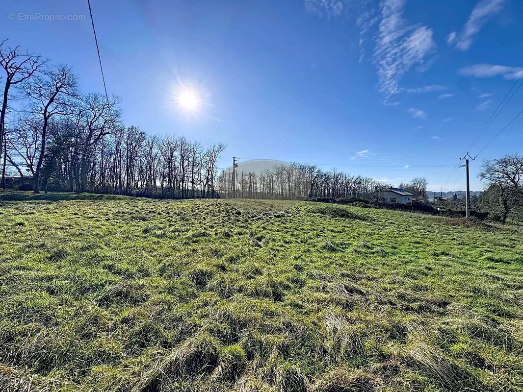 Terrain à VILLECOMTAL-SUR-ARROS