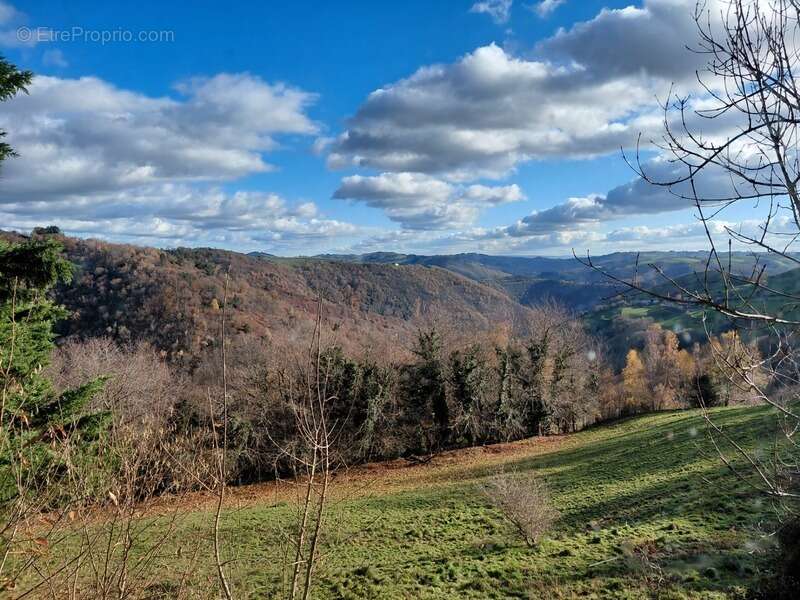 Bien d’exception – Corps de ferme sur 35 hectares avec vue dominante sur la vallée du Lot - photo 2
