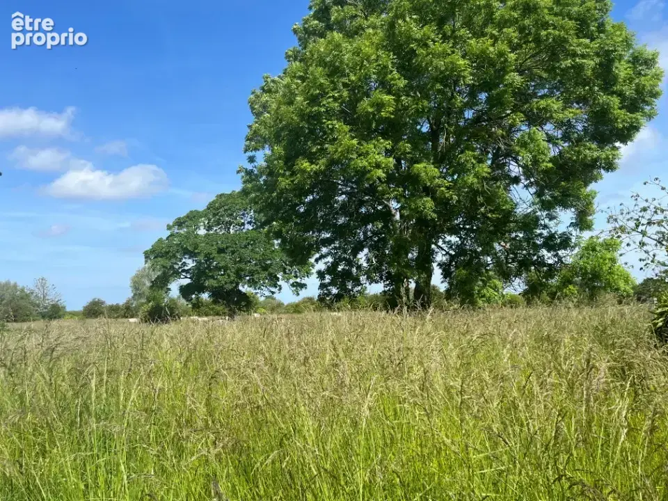 Terrain à PENDE
