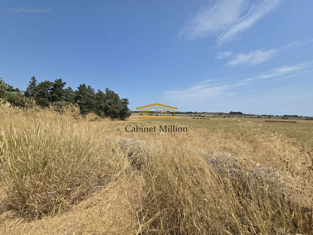 Domaine  d'exception aux portes de montpellier - photo 25