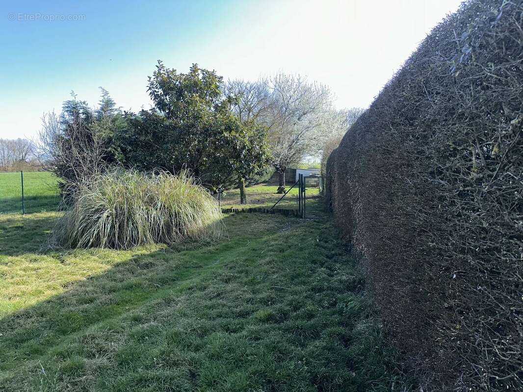 Sommieres du clain - photo 2