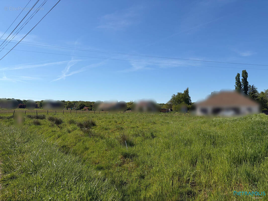 Terrain à SAINT-MARTIN-EN-BRESSE