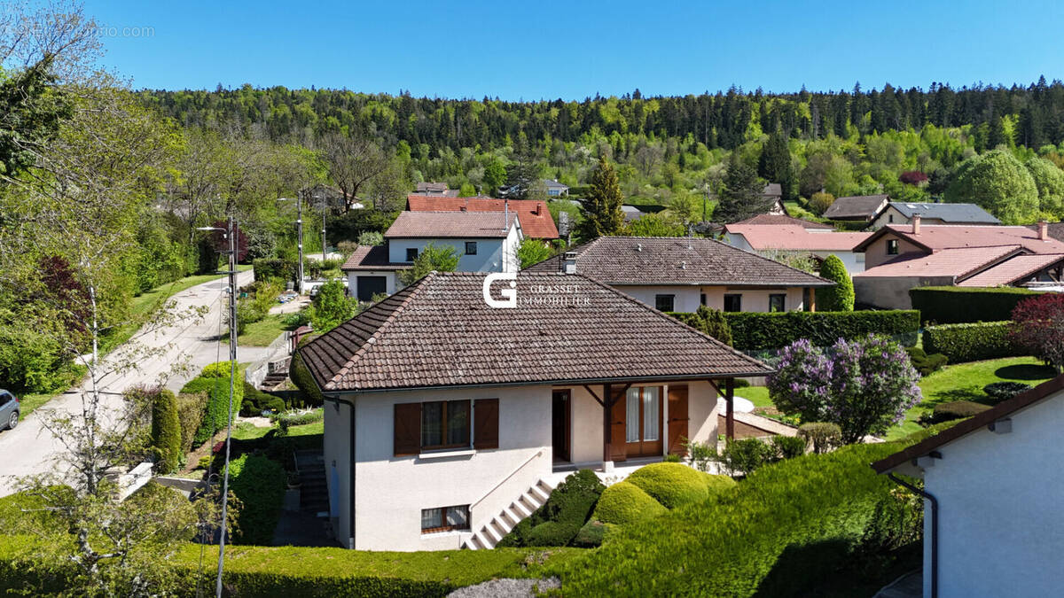 Maison à ARBENT