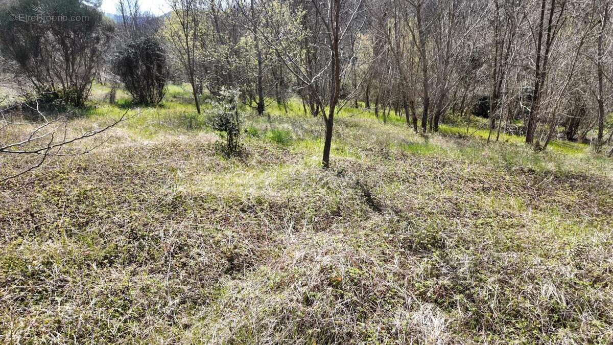 Terrain à ENTRECHAUX