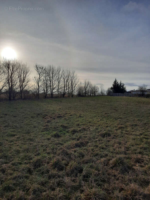 Terrain à LA CAVALERIE