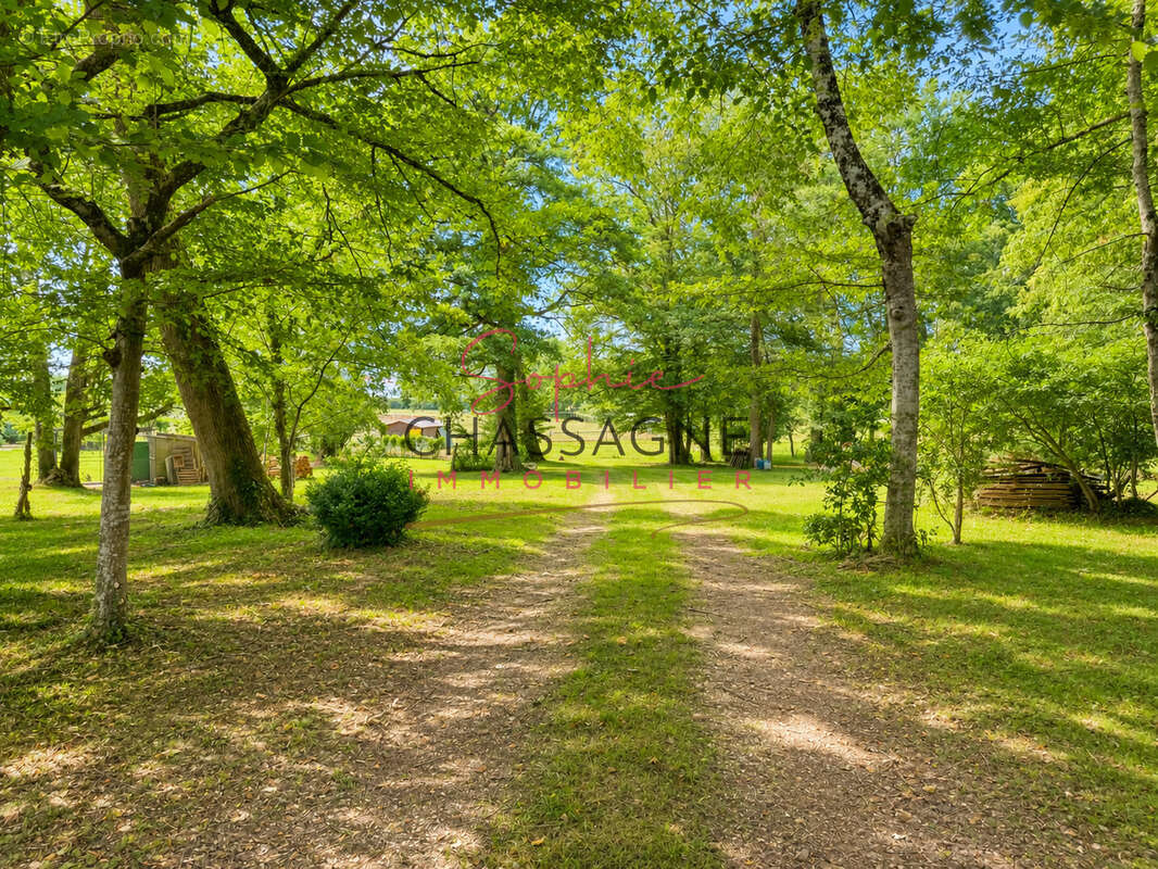 À 30 minutes de Bergerac   Propriété équestre avec 3 logements attenants sur plus de 4 hectares - photo 30