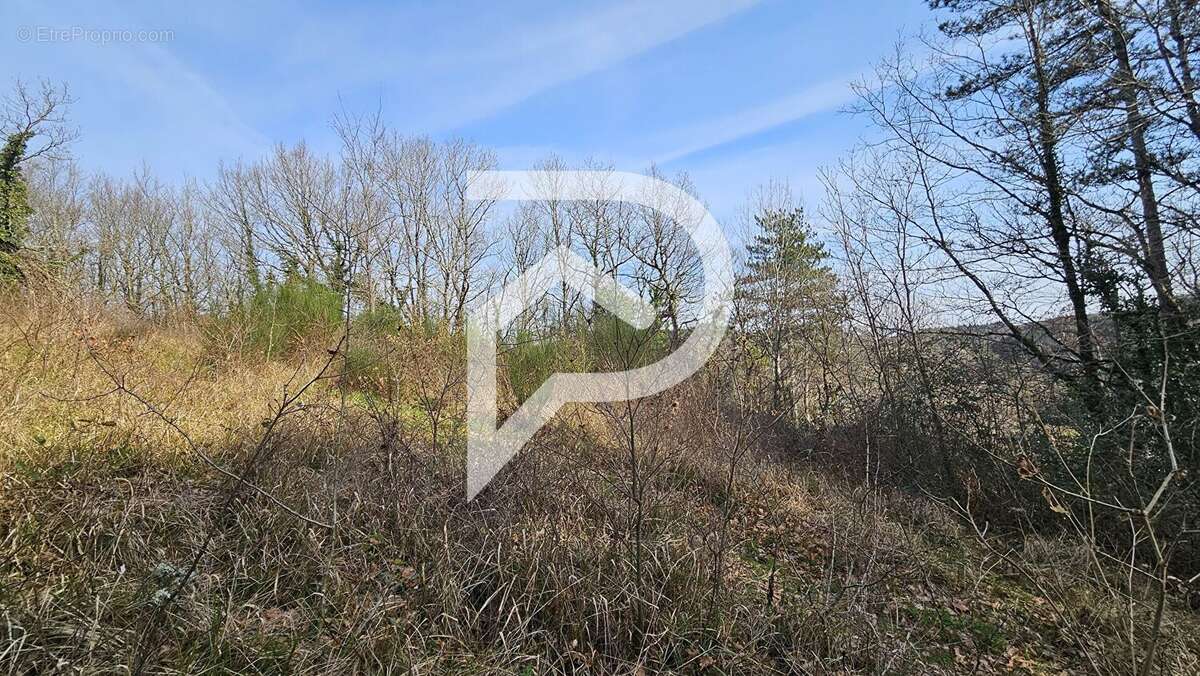 Terrain à BOISSEZON